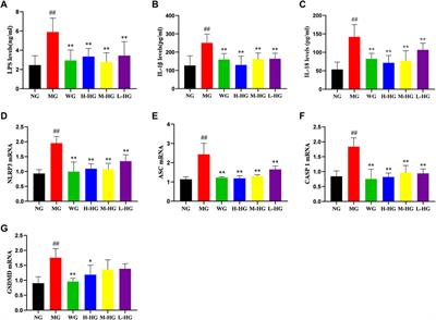 The potential mechanism of huazhuojiedu decoction in the treatment of ulcerative colitis based on network pharmacology and experimental validation